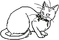 Warrior Cat Rp Mc Warrior Cat Rp Mc