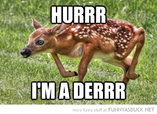 funny deer pictures