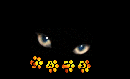 Bildergebnis für warrior cats gif