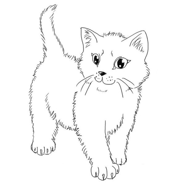 Раскраски котиков Раскраски котиков - 7