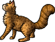 Leopardstar.deputy
