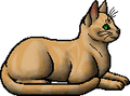 Sandstorm.elder