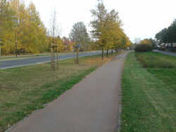 Ścieżka Rosołą (by BartekBD).jpg