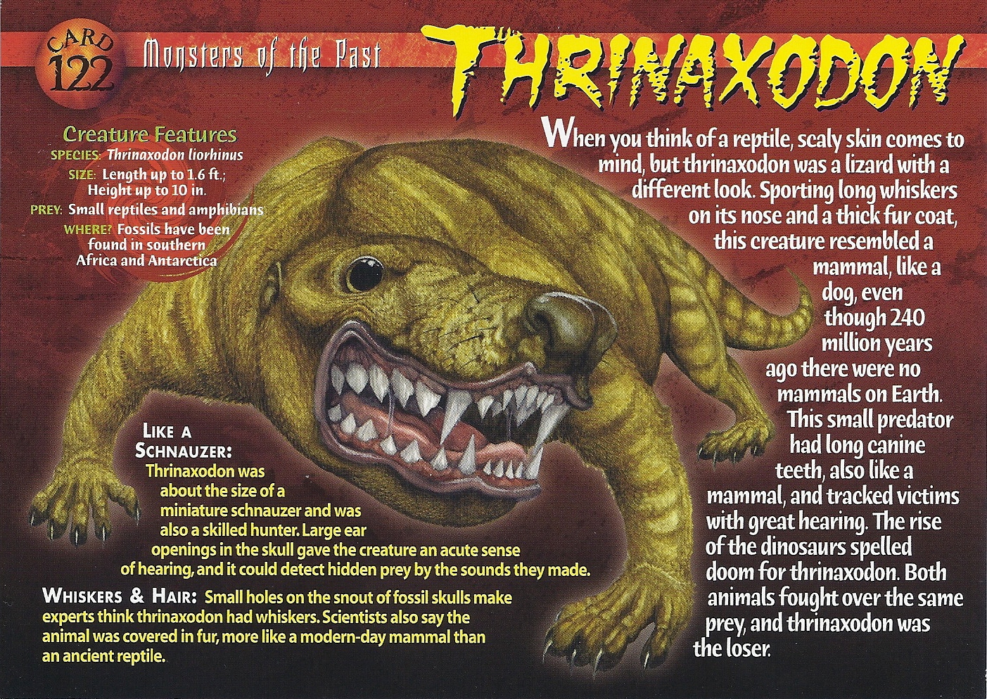 Thrinaxodon | Wierd N'wild Creatures Wiki | FANDOM powered by Wikia