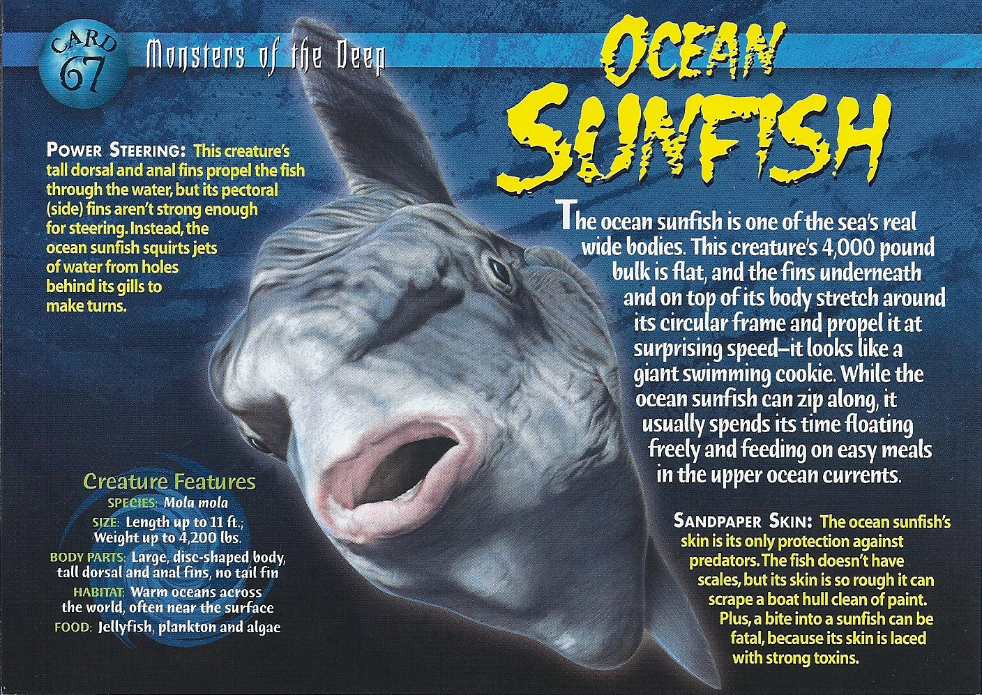 Ocean Sunfish Wierd N wild Creatures Wiki FANDOM Powered By Wikia
