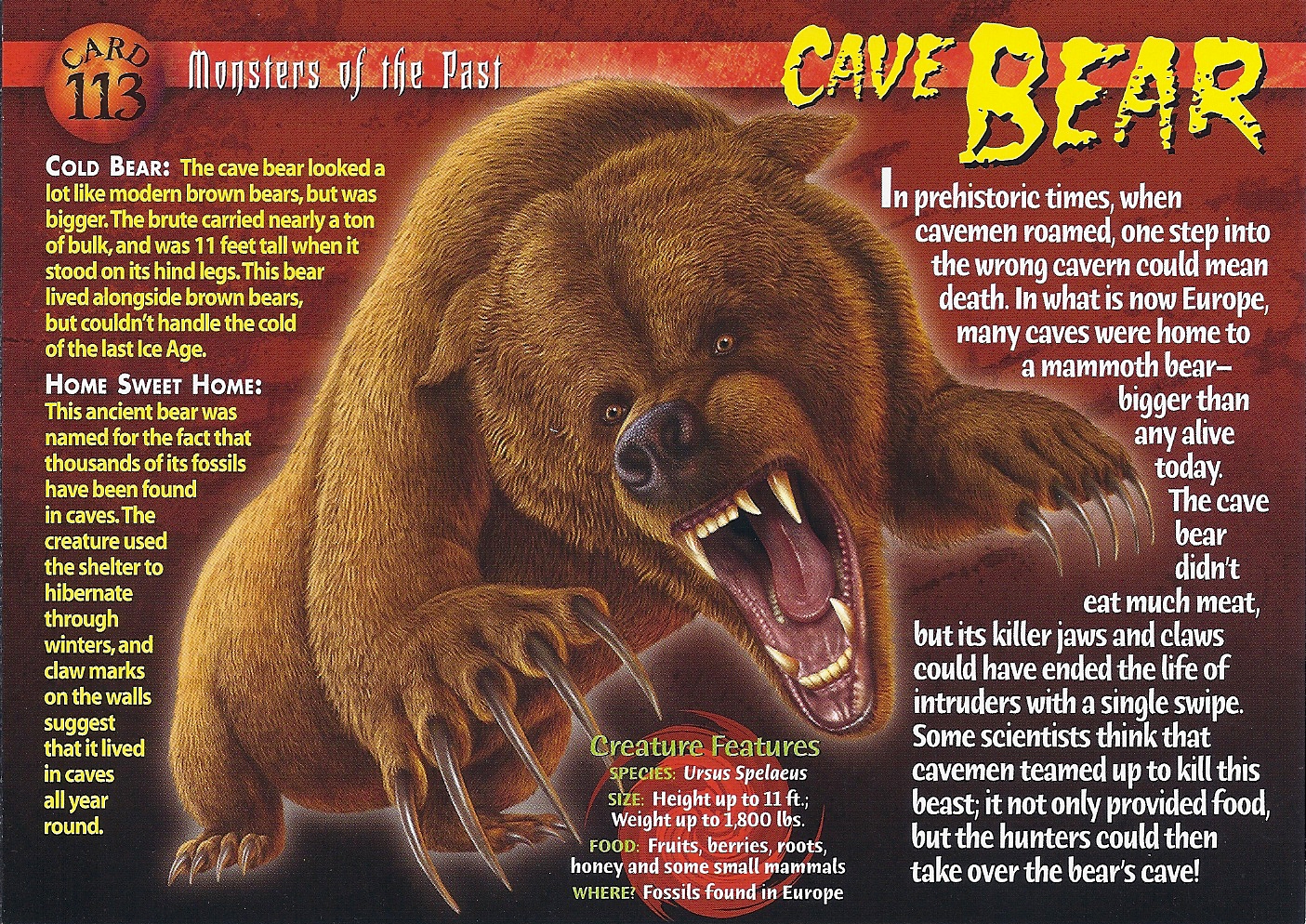 The Cave Bear Story by Björn Kurtén The Cave Bear Story by Björn Kurtén