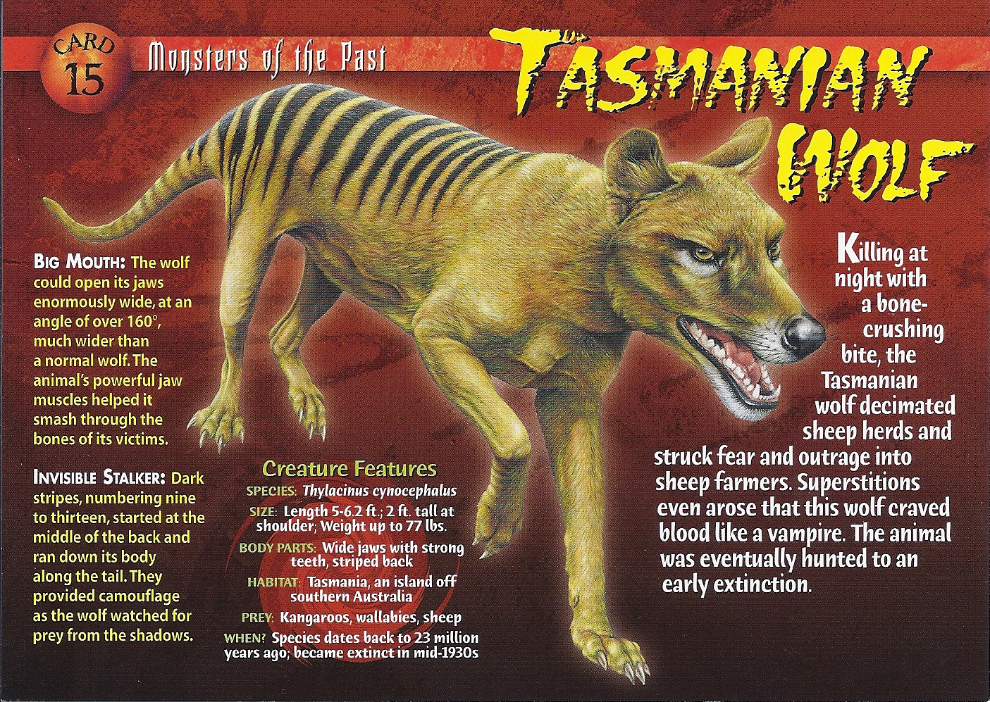 Tasmanian Wolf | Wierd N'wild Creatures Wiki | FANDOM powered by Wikia