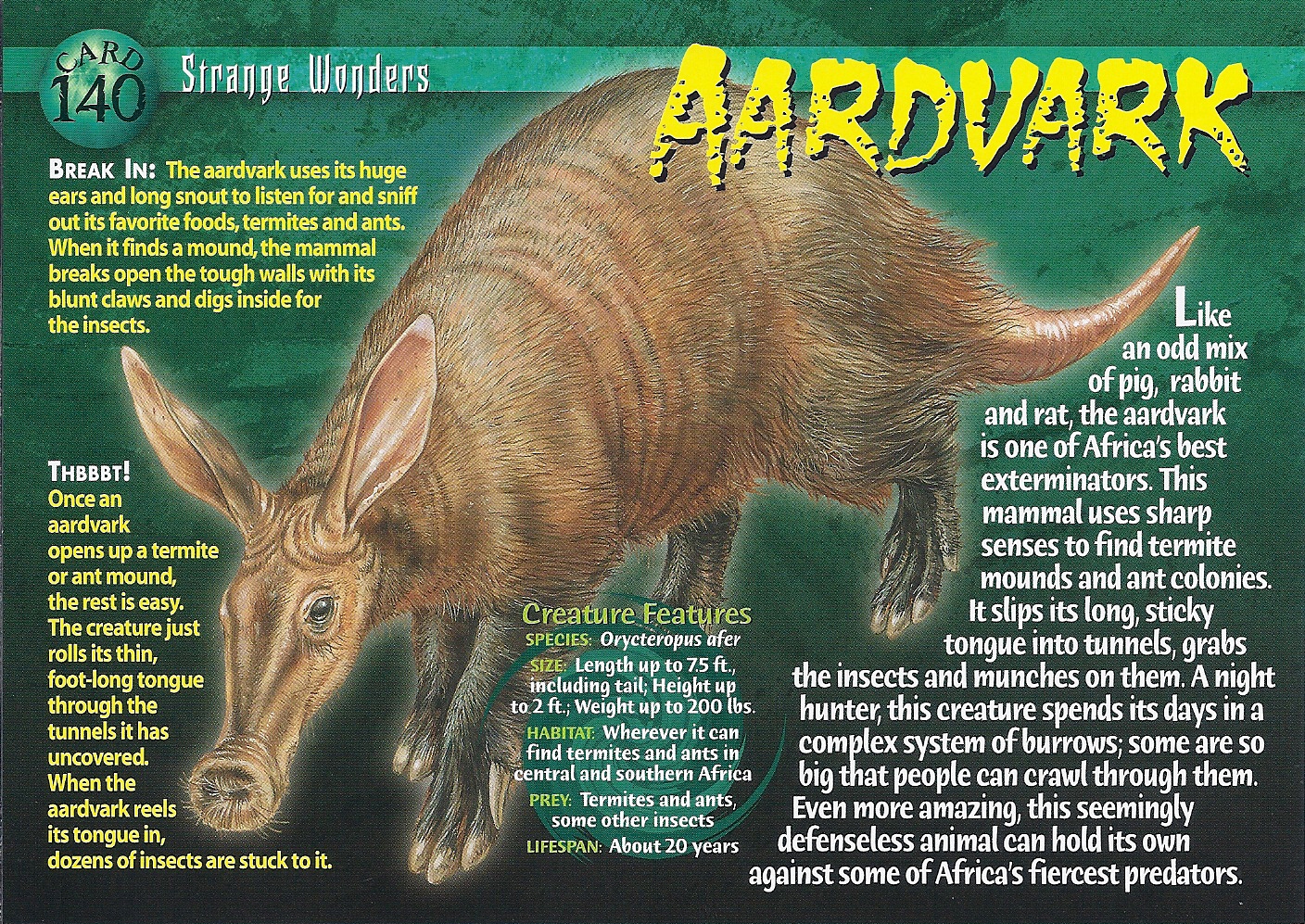 Aardvark | Wierd N'wild Creatures Wiki | FANDOM powered by Wikia