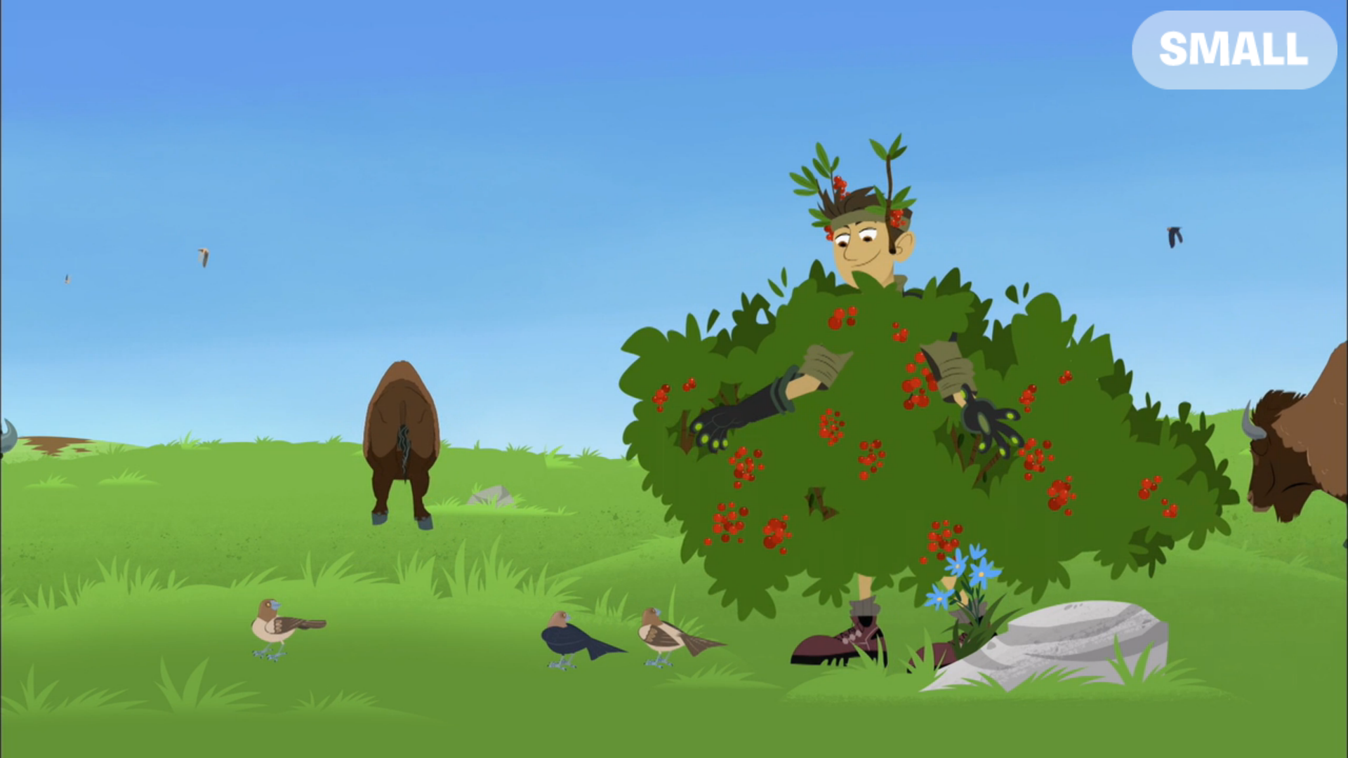 Image - Wk328.png | Wild Kratts Wiki | Fandom powered by Wikia