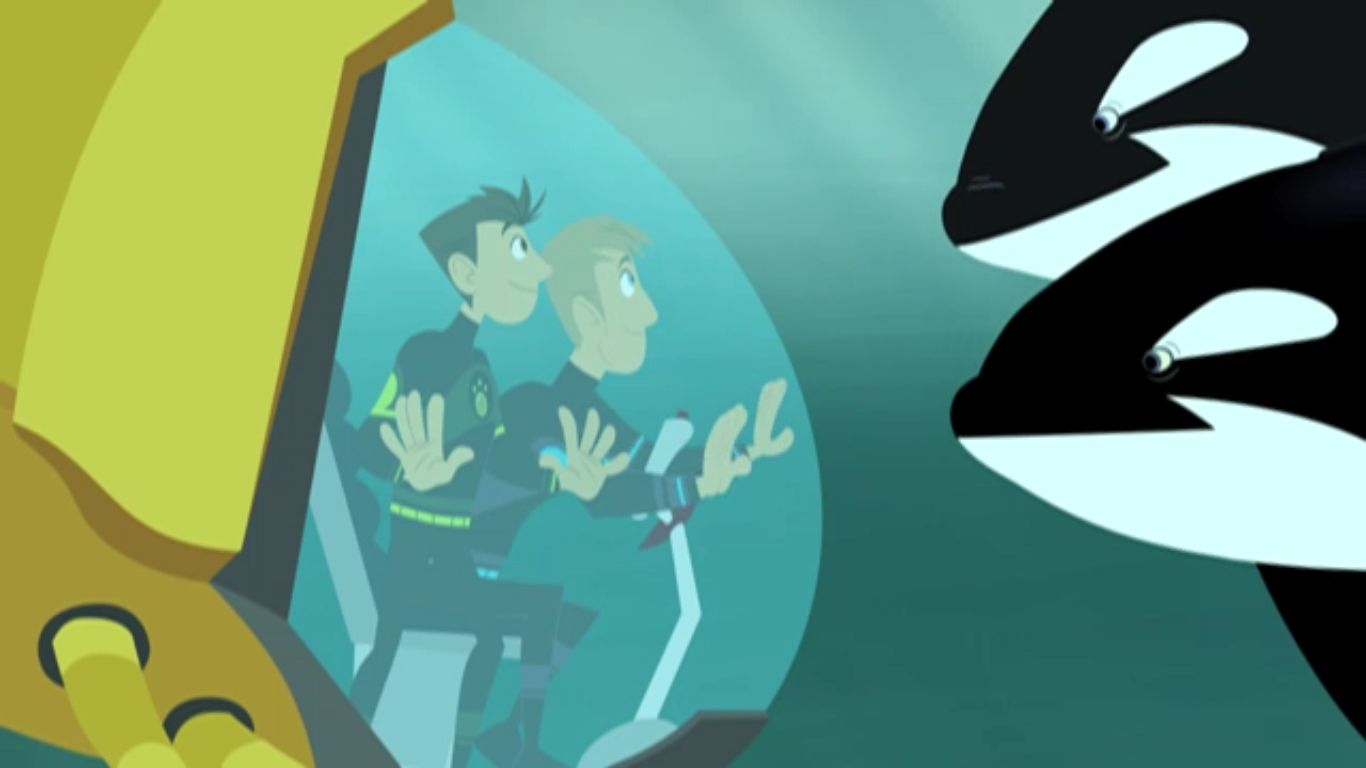 This Orca Likes Sharks | Wild Kratts Wiki | Fandom powered by Wikia