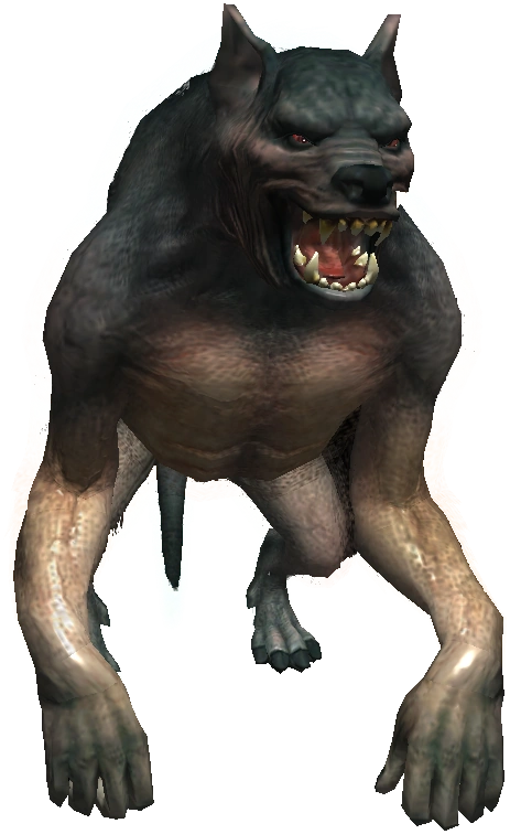 Werewolf | Witcher Wiki | FANDOM powered by Wikia