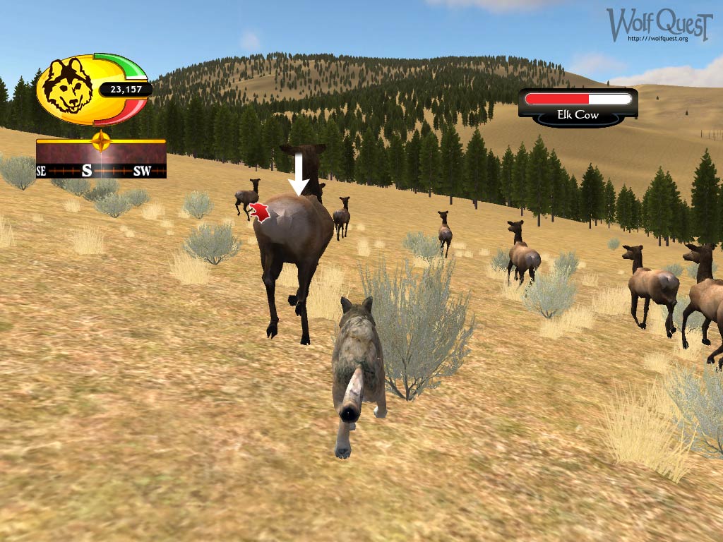 Wolf Quest Games Play Free