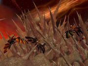 Fin des dragons.jpg