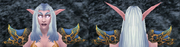 Mistscape Mantle, Stone Background, NE Female