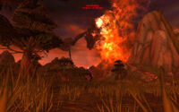 StoodintheFire