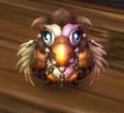 Alliance Moonkin Hatchling