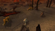 Black Tooth Hovel (Cataclysm)