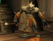 Moonrage Elder Worgen