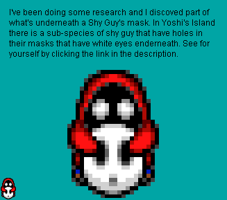 What is under shy guy mask? | GBAtemp.net - The Independent Video Game  Community