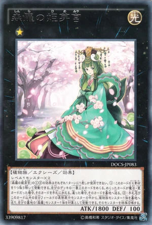 fate card sleeves 
