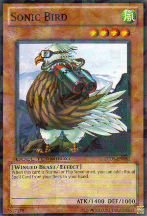 SonicBird-DT05-EN-DNPR-DT