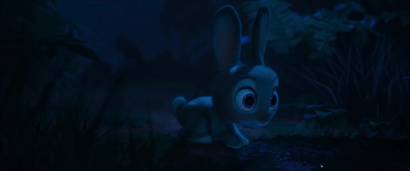 Carrot Days Talent Show Zootopia Wiki Fandom powered by Wikia