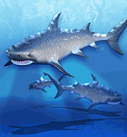 zoo tycoon 1 mods nurse shark zoo tycoon 1 mods nurse shark