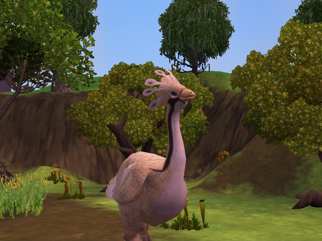 zoo tycoon 2 download cockatiel zoo tycoon 2 download cockatiel