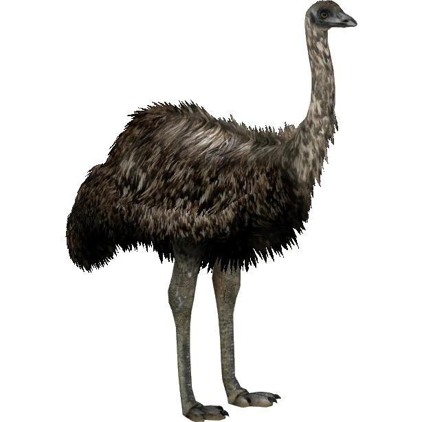 Giant Moa The ZT2 Round Table