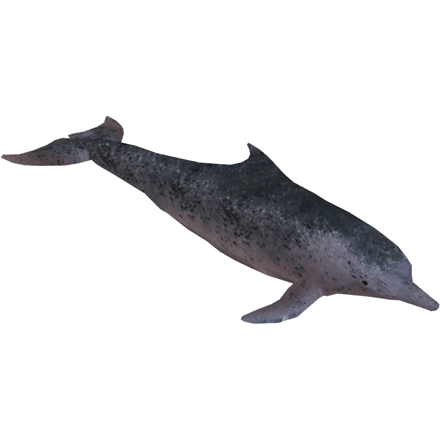 CategoryZetaDesigns ZT2 Download Library Wiki FANDOM powered by Wikia