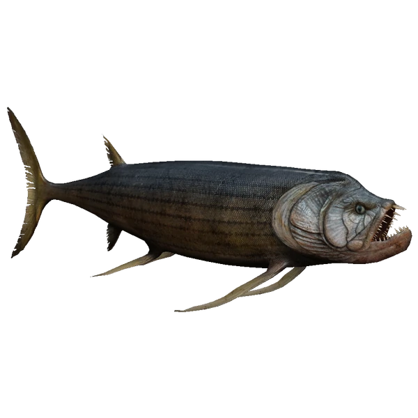 600?cb=20150216175336