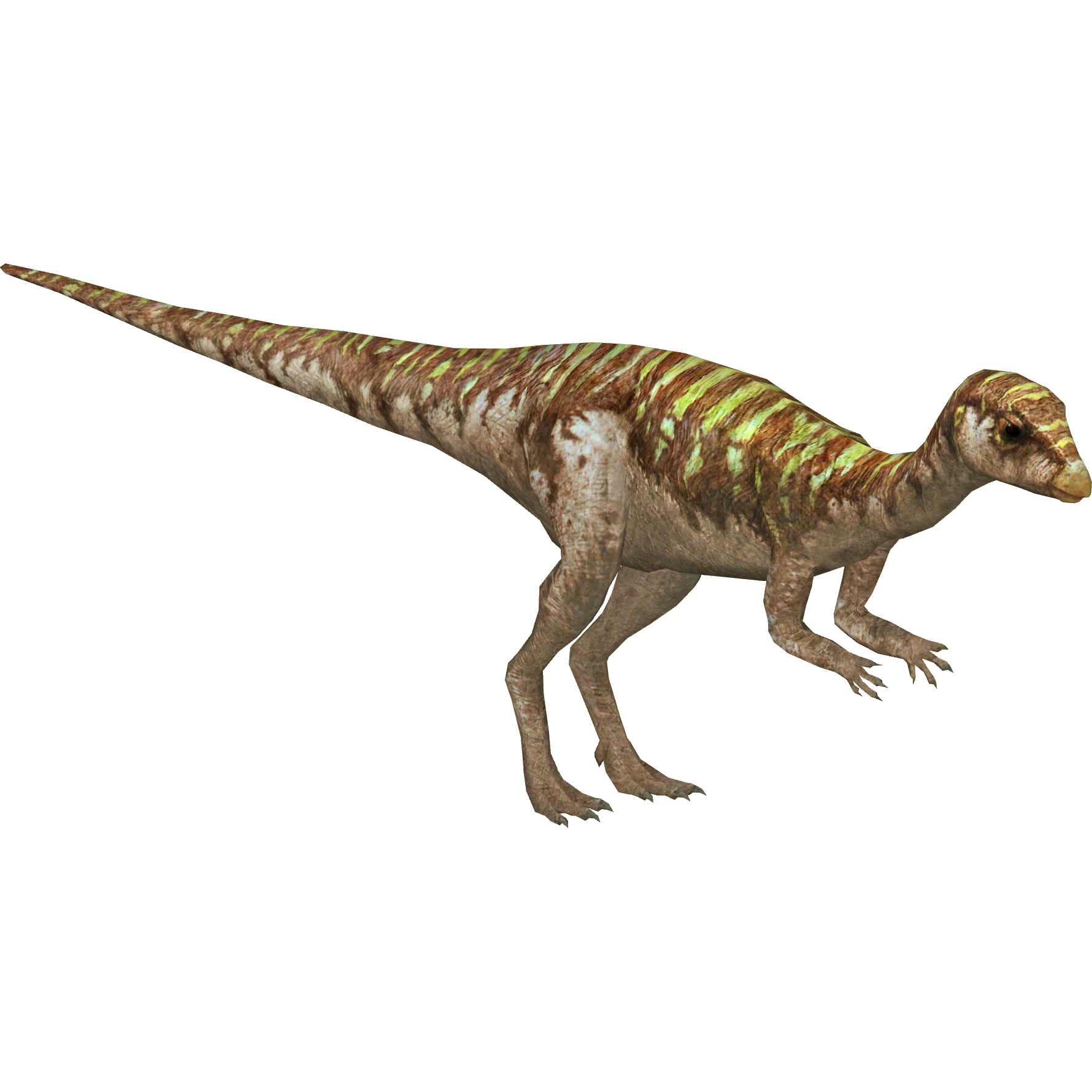 leaellynasaura fossil