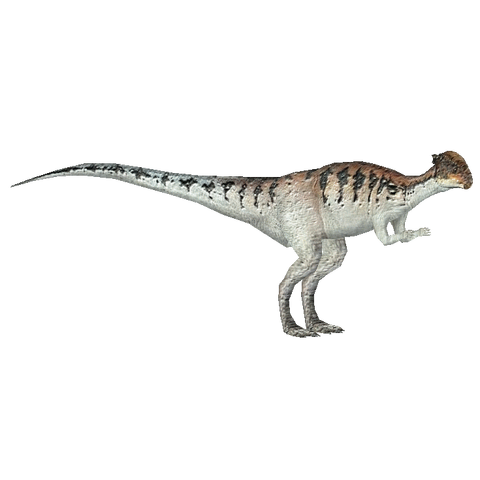 480?cb=20150220151823