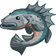 http://vignette4.wikia.nocookie.net/ztreasureisle/images/f/f5/Sea_Bass-icon.png/revision/latest?cb=20101116021707