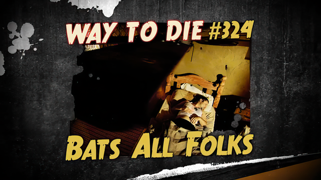 File:Bats All Folks.png