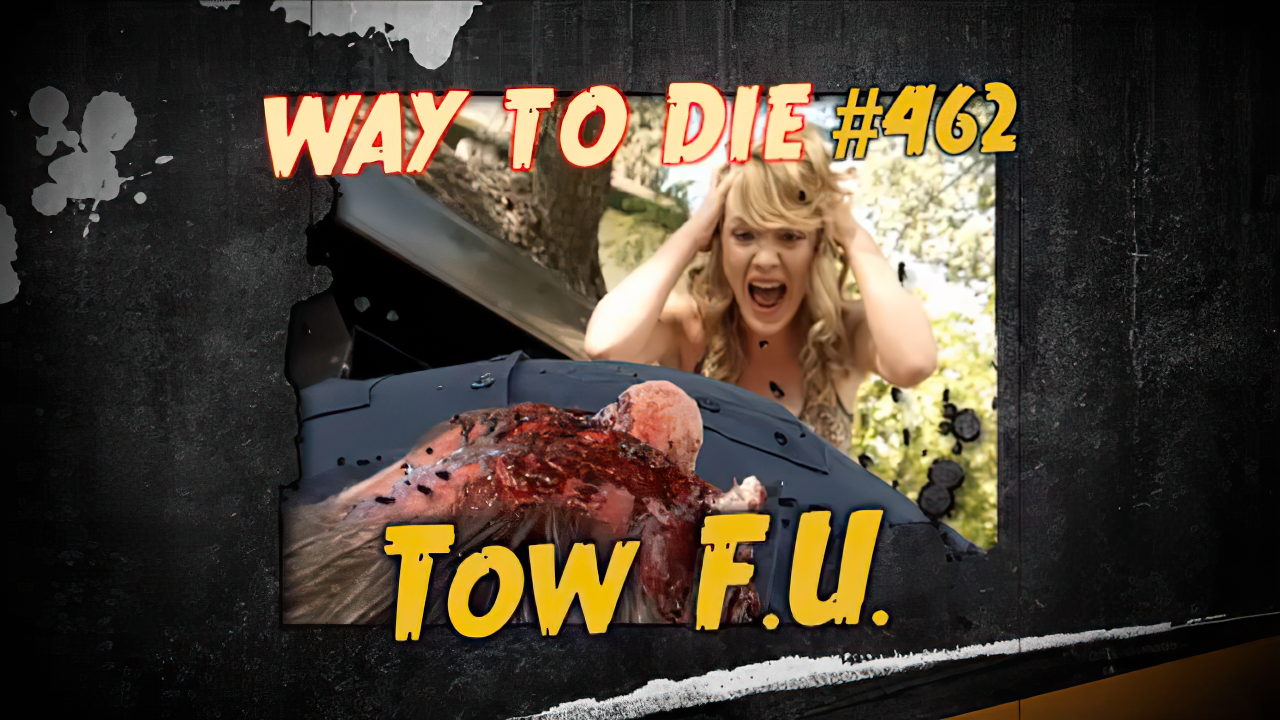 1000 ways to die download torrent 1000 ways to die download torrent