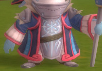Sk robe.jpg