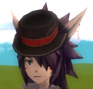 Wolf's Band Hat.jpg