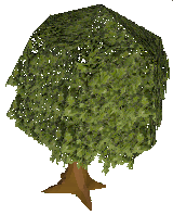File:Oak.gif