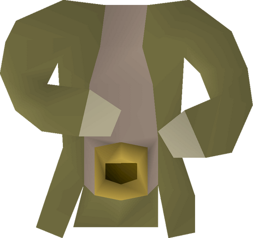 File:Exquisite clothes detail.png