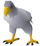 Polar eagle