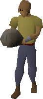 Pet rock equipped