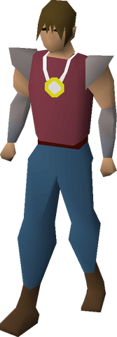 File:Diamond amulet equipped.png