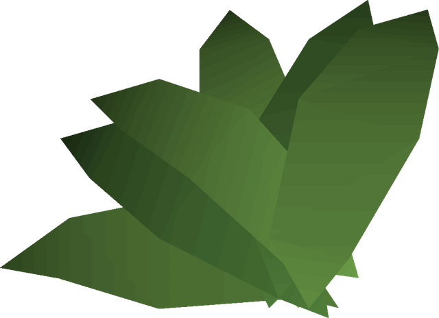 File:Irit leaf detail.png