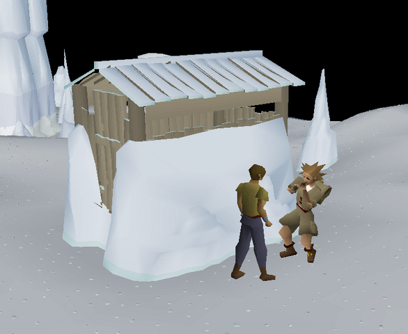 File:Finished bird hide structure.png