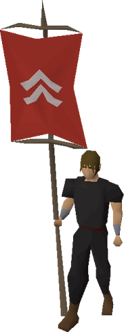 File:Banner (Kandarin) equipped.png