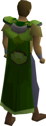 File:Cabbage cape equipped.png