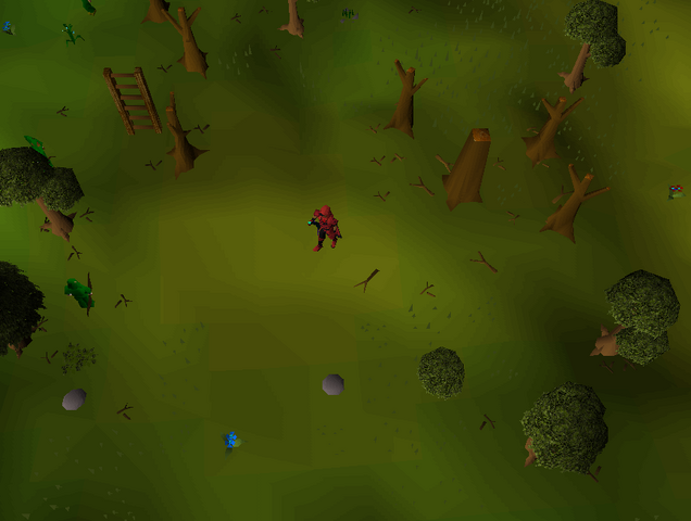 File:Hot cold clue - Southwest Tree Gnome Stronghold.png