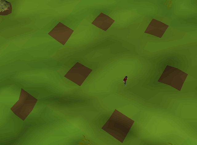 File:Empty planting area.png