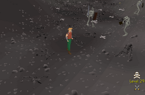 Bone Yard